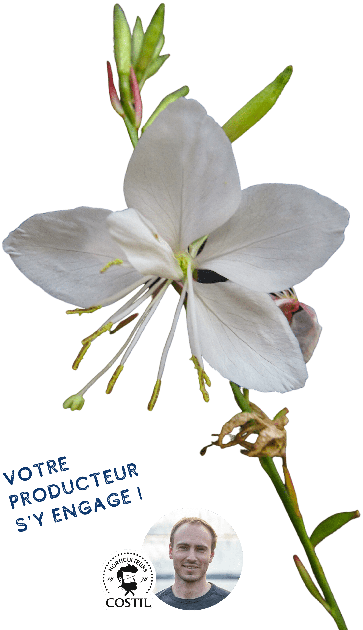 Offre automne Septembre 1