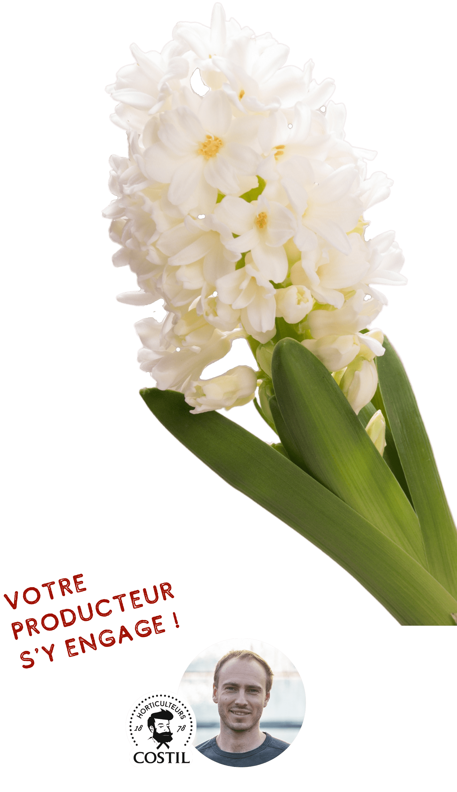 Offre Automne Décembre 4