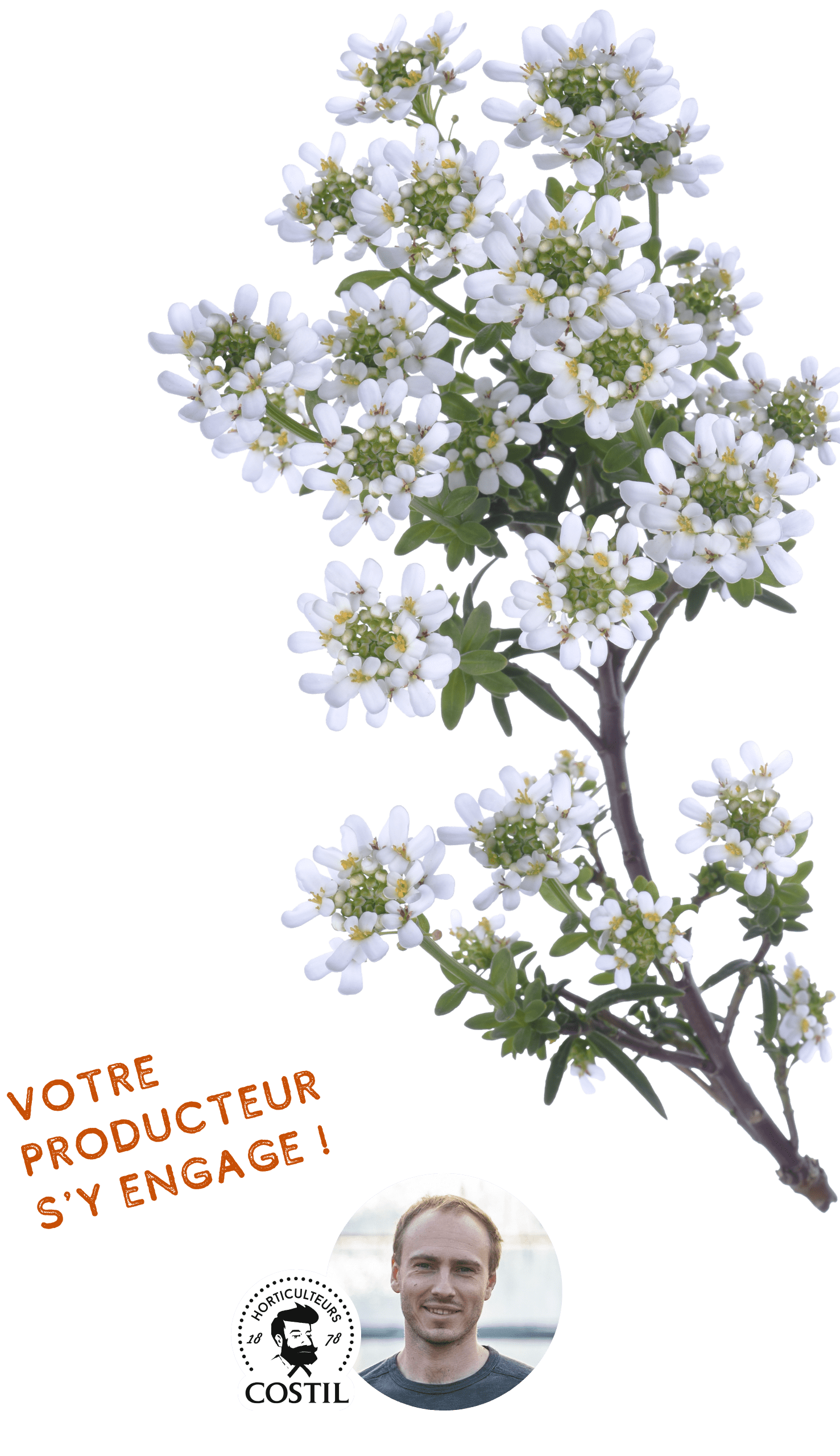 Offre Automne Février 5