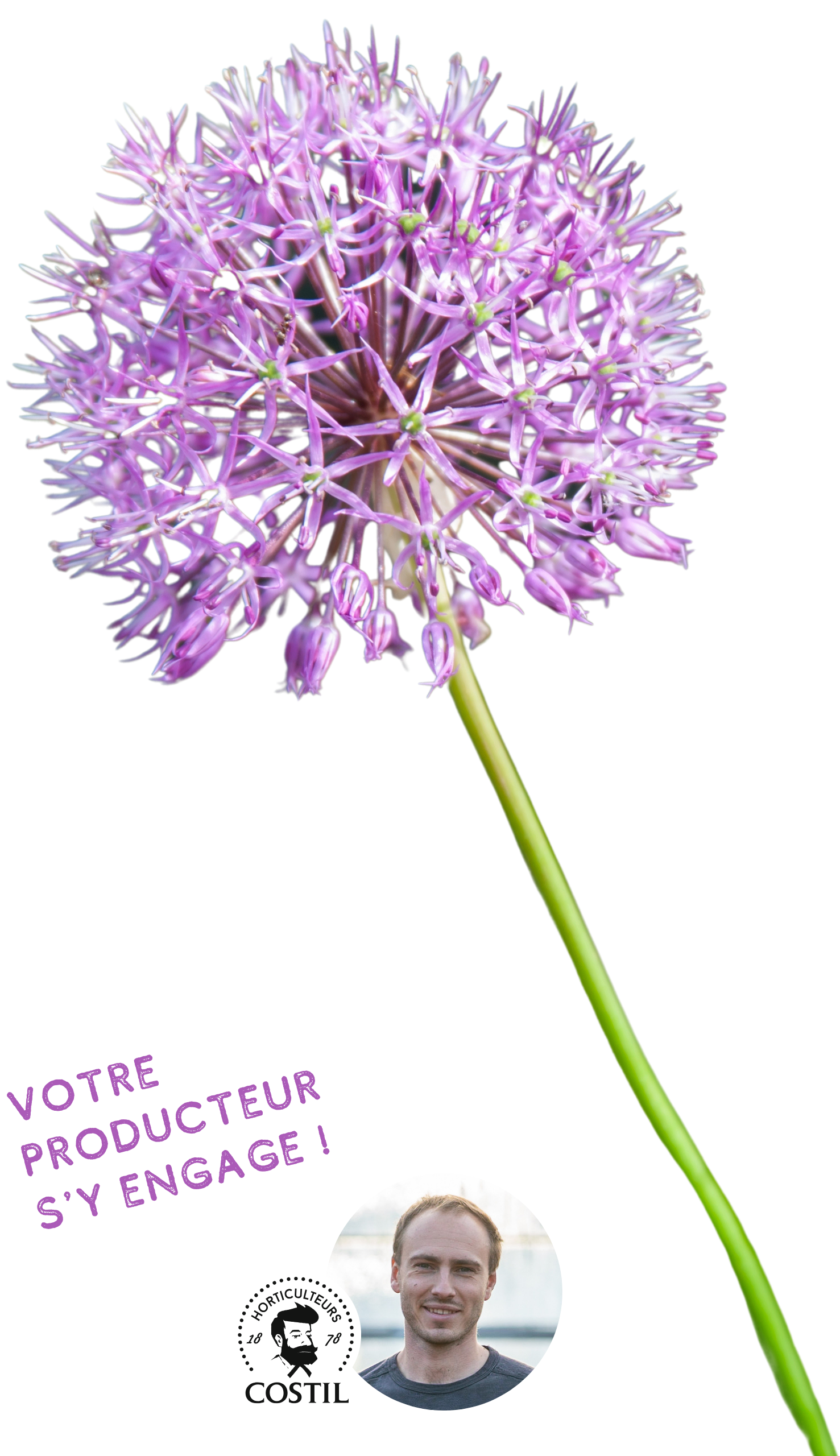 Offre Automne Juillet 10