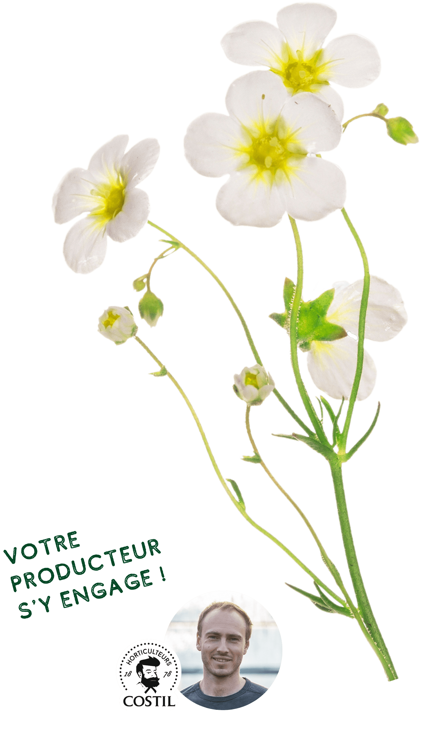 Offre Automne Mars 6