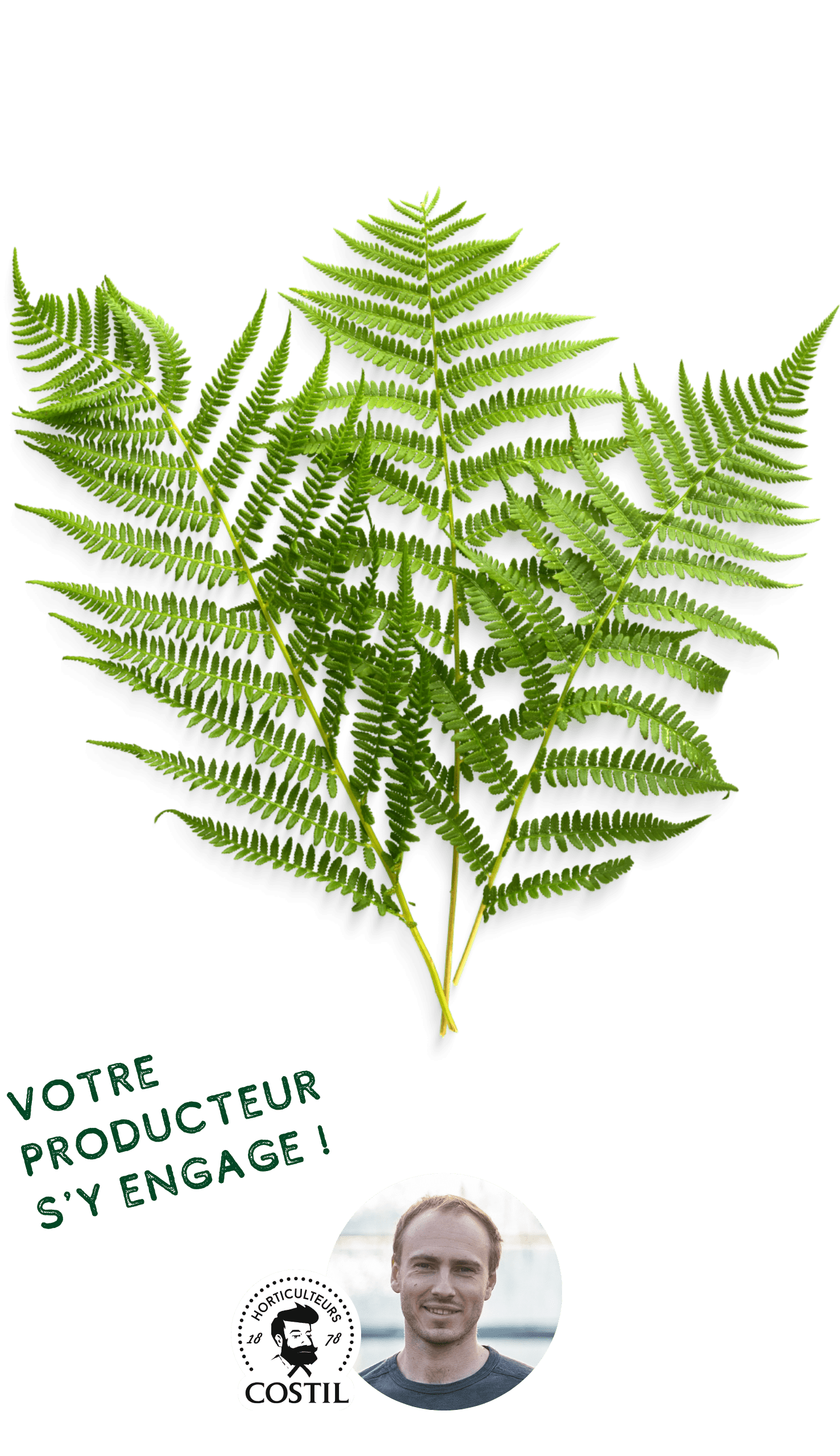 Offre Automne Octobre 3