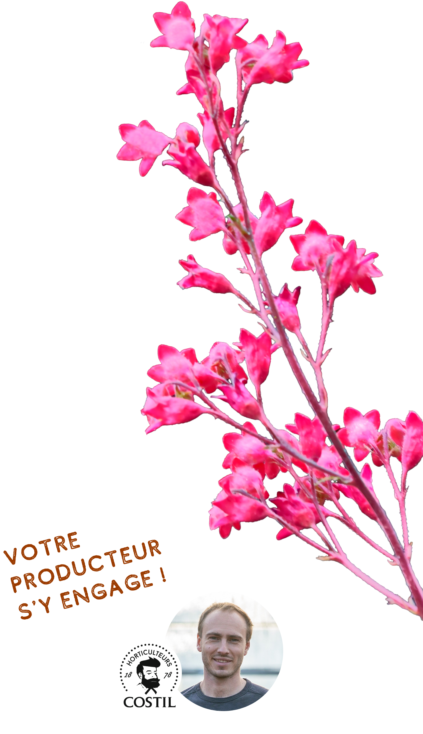 Offre Automne Septembre 2