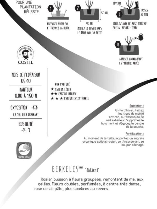 4991 0352 V 0028 client