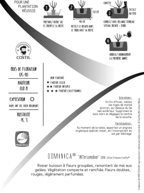 4991 0352 V 0183 client