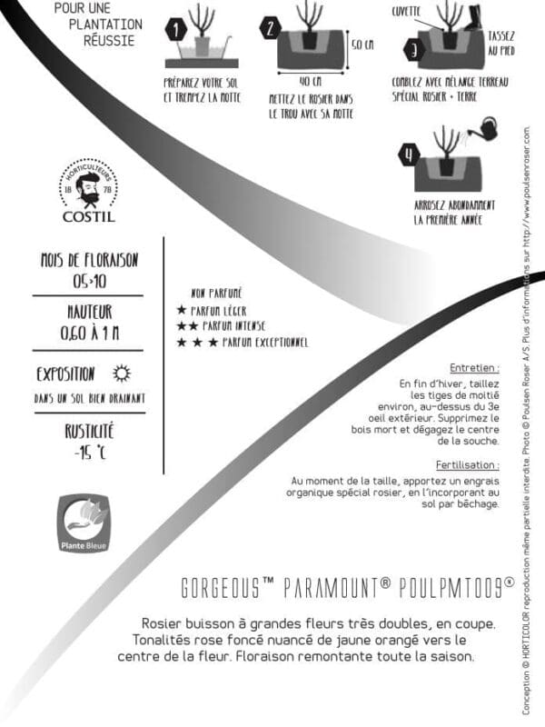 4991 0352 V 0265 client