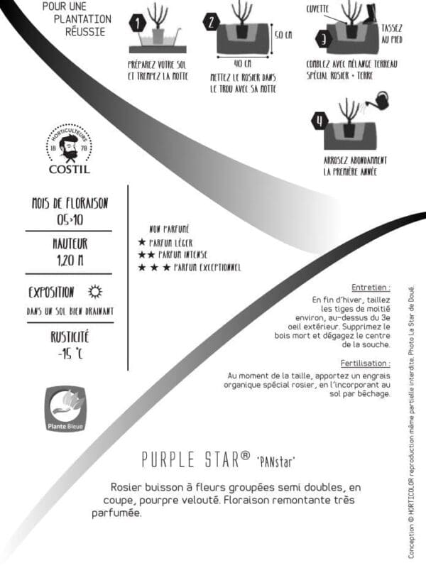 4991 0352 V 0276 client