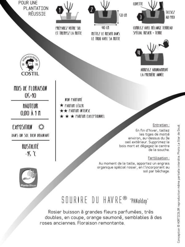 4991 0352 V 0279 client