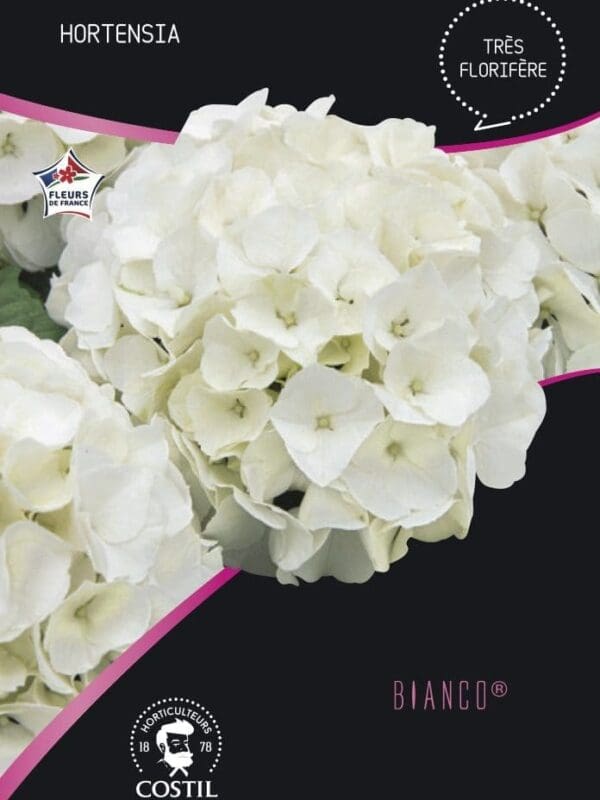 BIANCO