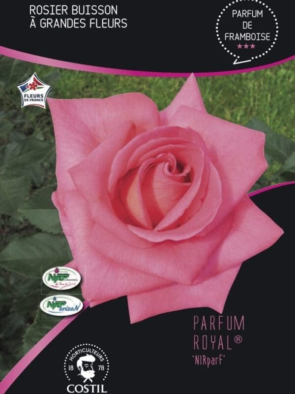PARFUM ROYAL