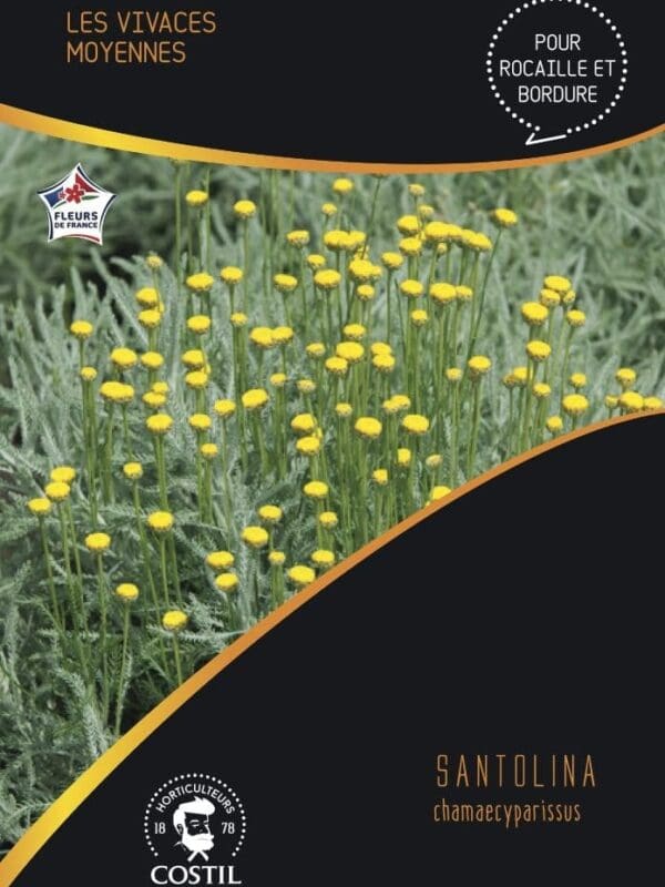 SANTOLINE