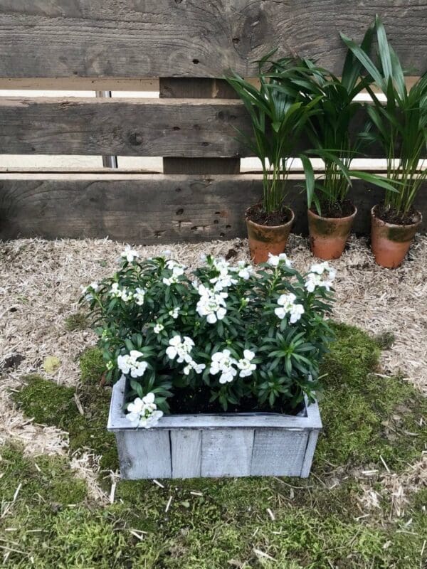 fullsizeoutput 19d7