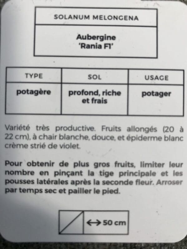 fullsizeoutput 1be3