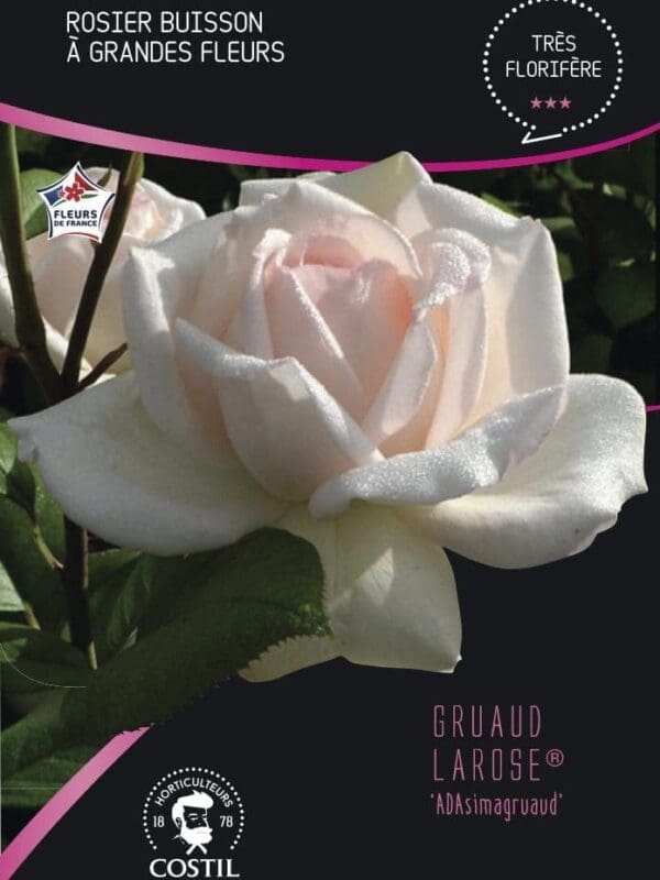 gruaud la rose