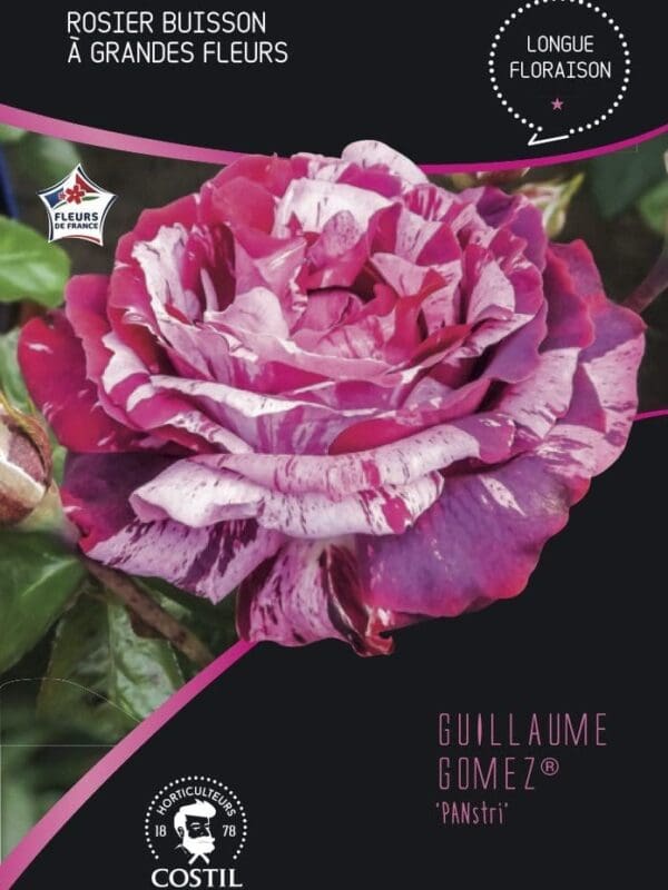 guillaume gomez 1
