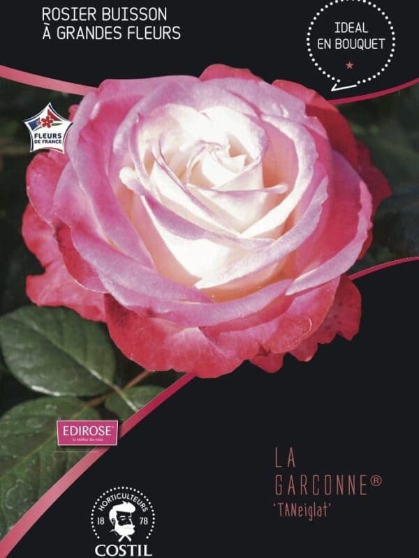 la garcone