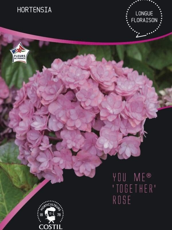 together rose