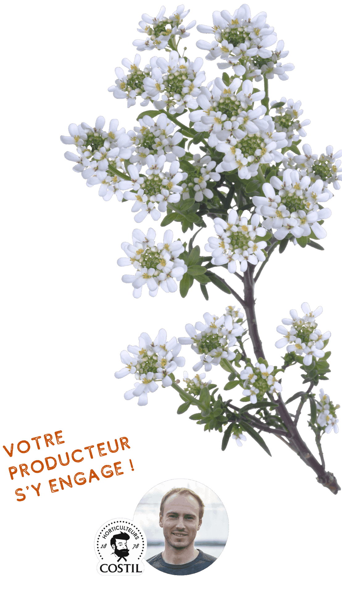Offre Automne Février 5