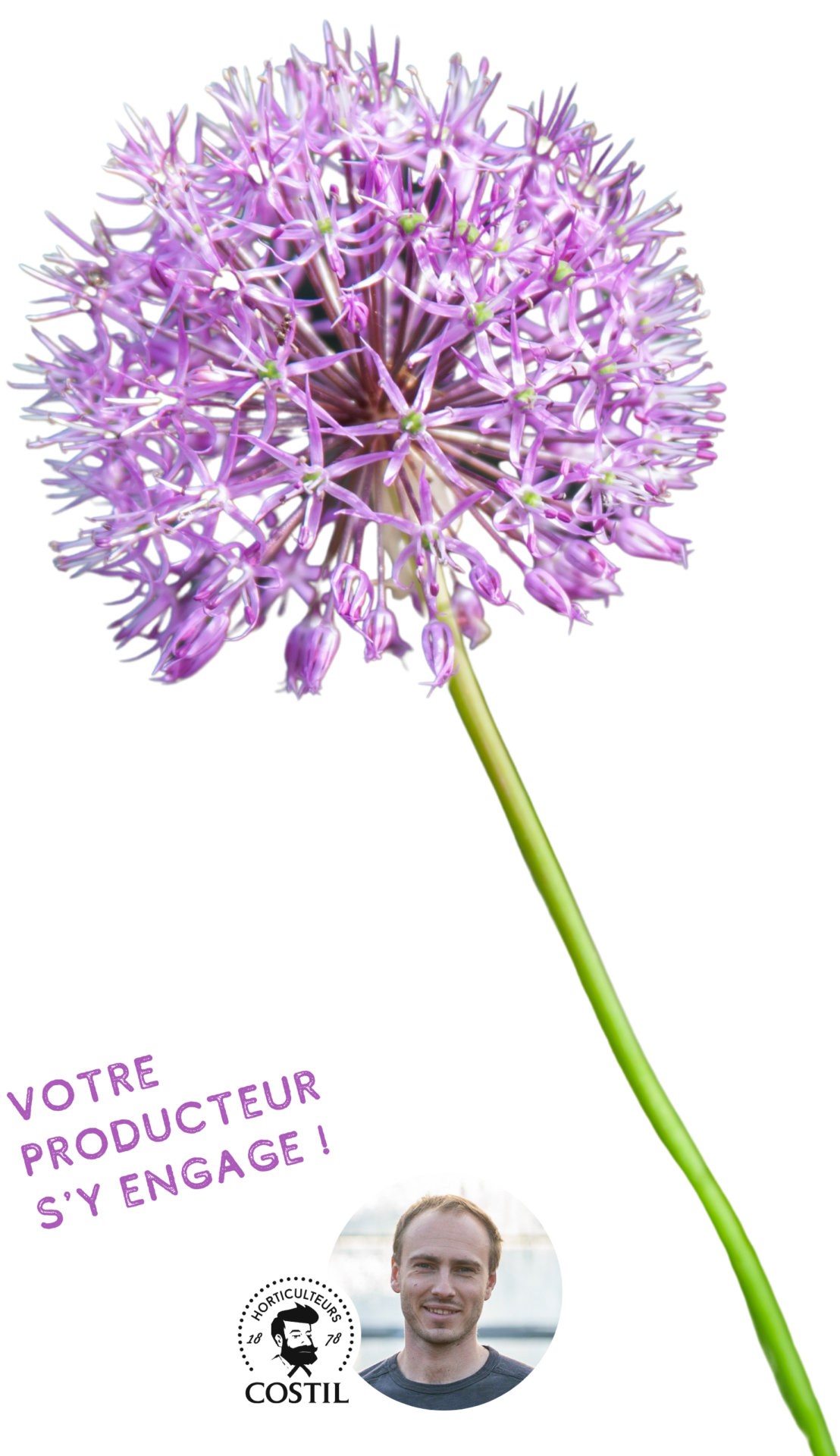 Offre Automne Juillet 10