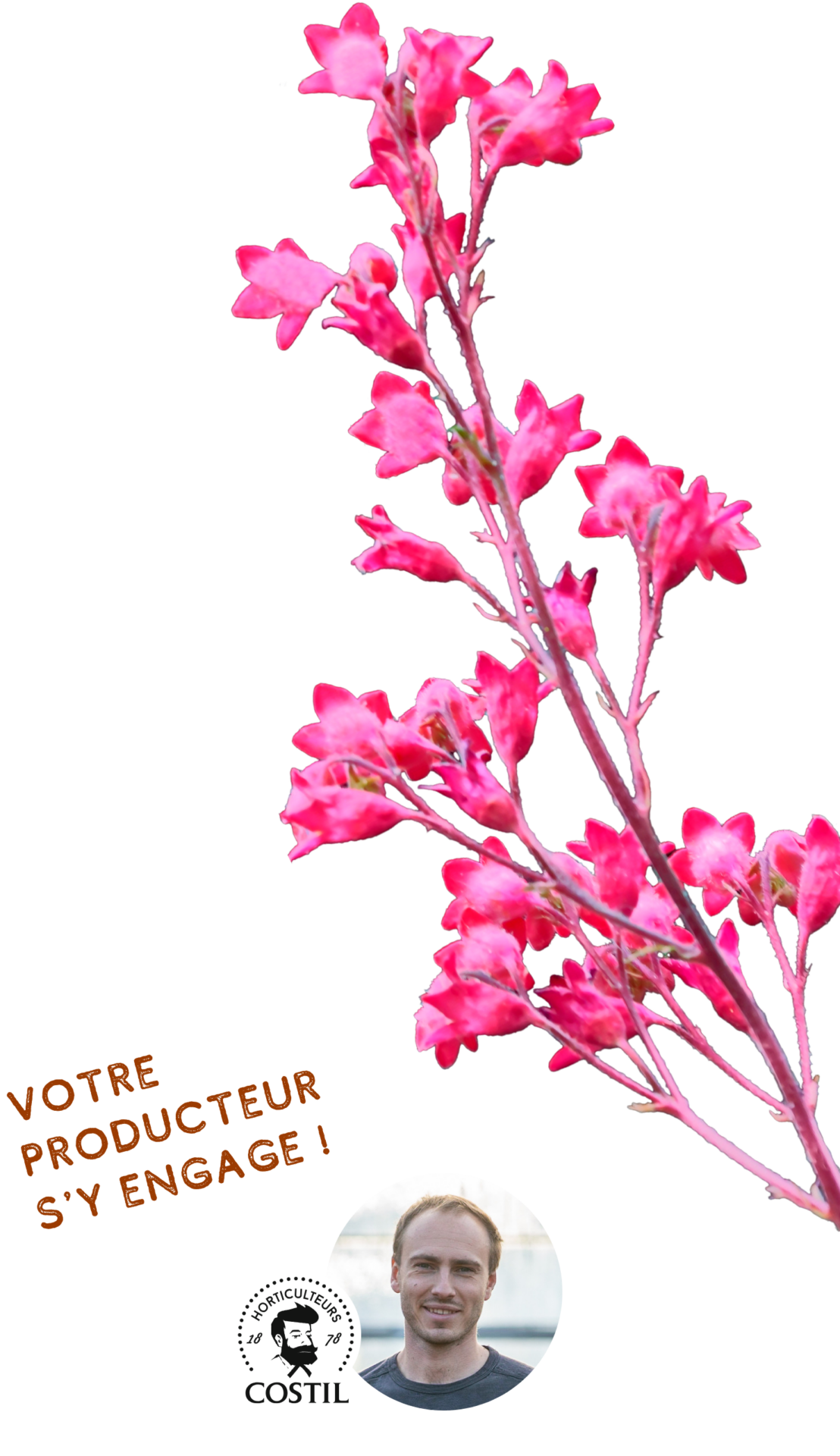 Offre Automne Septembre 2
