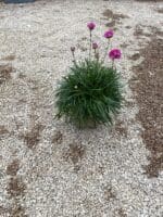 IMG 7318 IMG 7318