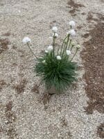 IMG 7319 IMG 7319